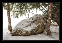 W_DSC_1208.jpg