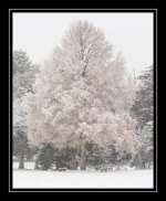 W_DSC_1266.jpg
