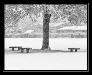 W_DSC_1279.jpg