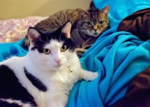 31 January 2016 - Mooch 1 and Mooch 2.jpg