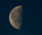 ROY_6851_01.JPG