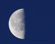 1-31-16-cr__D7K1045.jpg