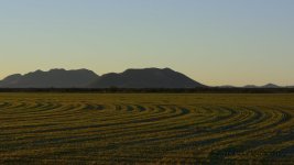 1-31-16-cr__D7K1056.jpg