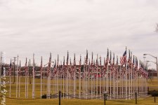 February 1 2016-2114.JPG