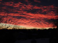 DSCN9795.jpg