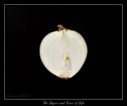 W_DSC_1345.jpg