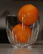 2-1-16-cr__D7K1095.jpg