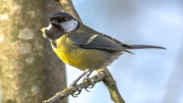 DSC_8763-Edit.jpg