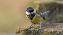 DSC_8759-Edit.jpg