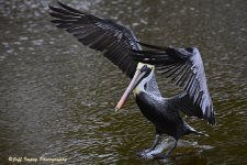 _DSC3777.jpg