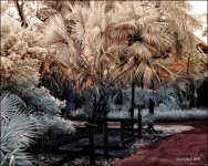 2-2-16 Arboredum IR   3.jpg