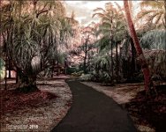2-2-16 Arboredum IR   5.jpg