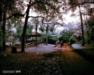 2-2-16 Arboredum IR   6.jpg