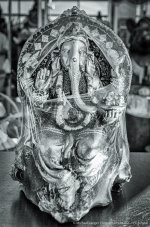 elephant bw.jpg