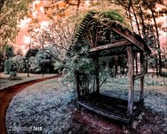 2-2-16 Arboredum IR   9.jpg