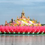 lotus blossom3.jpg