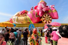 elelyingpink-2.jpg