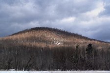 éclaircie d'hiver.jpg