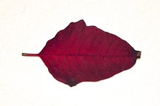 _AAA6956 - Version 2.jpg