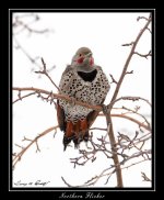 W_DSC_1304.jpg