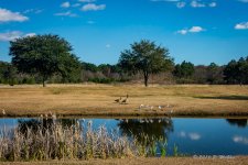 D71_8632-Edit.jpg