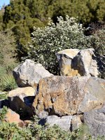 Rocks.jpg