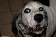 DSC_3846.jpg