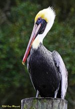 _DSC3863.jpg