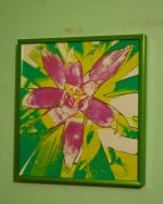 _AAA6991 - Version 2.jpg