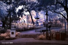 2-6-16 New River IR   2.1.jpg
