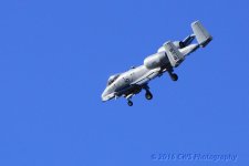 2-4-16-cr__D7K1126.jpg