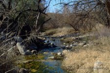 2-5-16-cr_DSC_3172.jpg