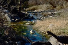 2-5-16-cr_DSC_3176.jpg