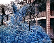 2-6-16 New River IR   3.jpg