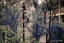 2-6-16 New River IR   4.jpg