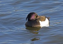 DSC_5326.jpg