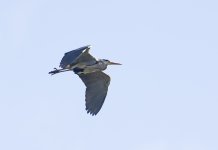 DSC_5363.jpg