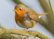 DSC_4632.jpg