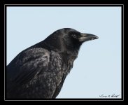 W_DSC_1564.jpg