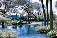 2-6-16 New River IR   7.jpg