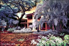 2-6-16 New River IR   9.jpg