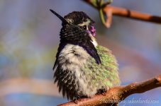 DSC_9079.jpg