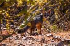 DSC_8783.jpg