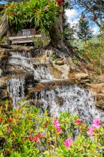 landscape small farm royal project-3.jpg