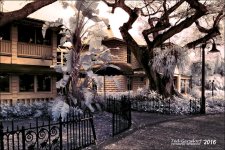 2-6-16 New River IR   11.jpg