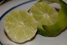DSC_3912.jpg