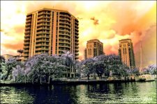 2-6-16 New River IR   12.jpg