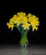 daffs on Tiles.jpg