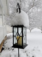 DSCN9798.jpg