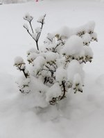 DSCN9801.jpg